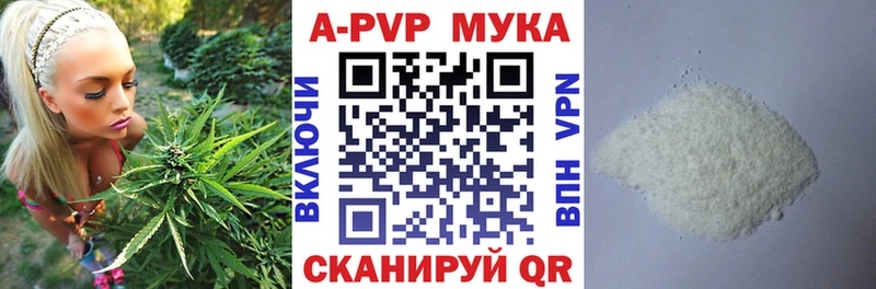 Alfa_PVP СК Могоча