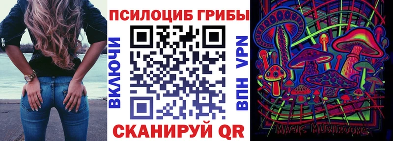Галлюциногенные грибы прущие грибы  Могоча 