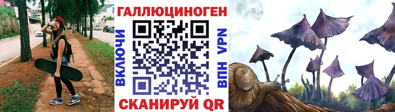 Галлюциногенные грибы Psilocybine cubensis Могоча